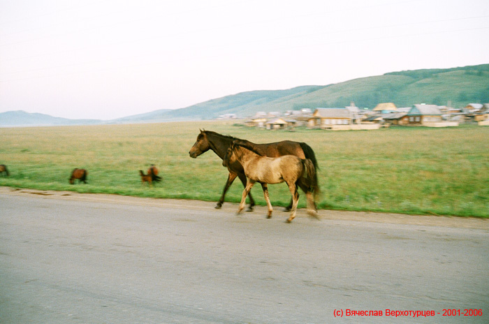 V_BASHKYRYI6_-_UTROKONY